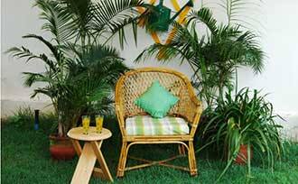Springdale Estate Stay, Coorg 3